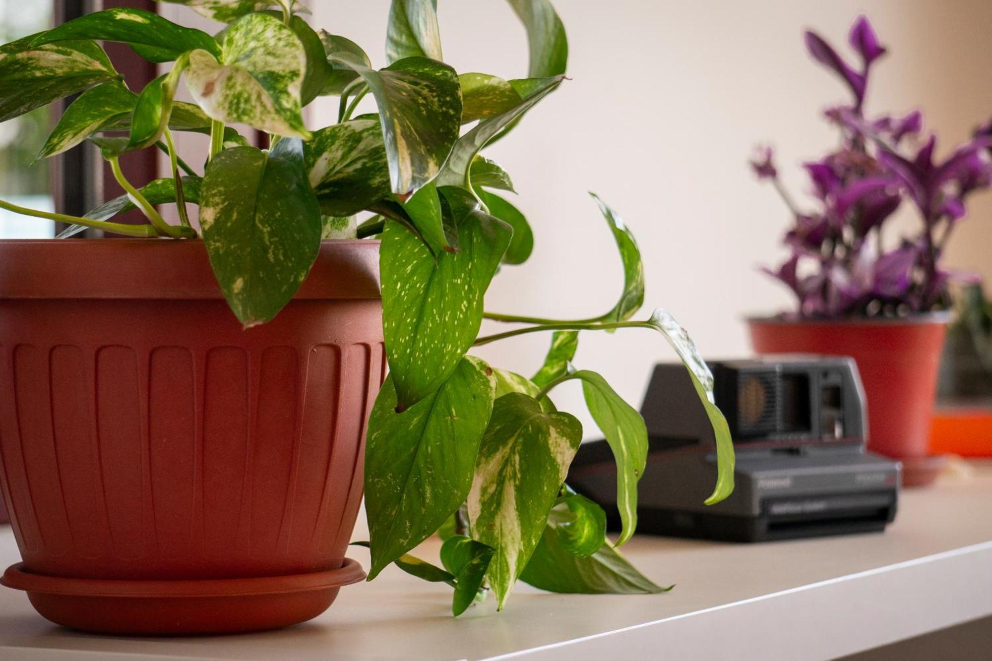 Coliving Together Gargano 维耶斯泰 外观 照片