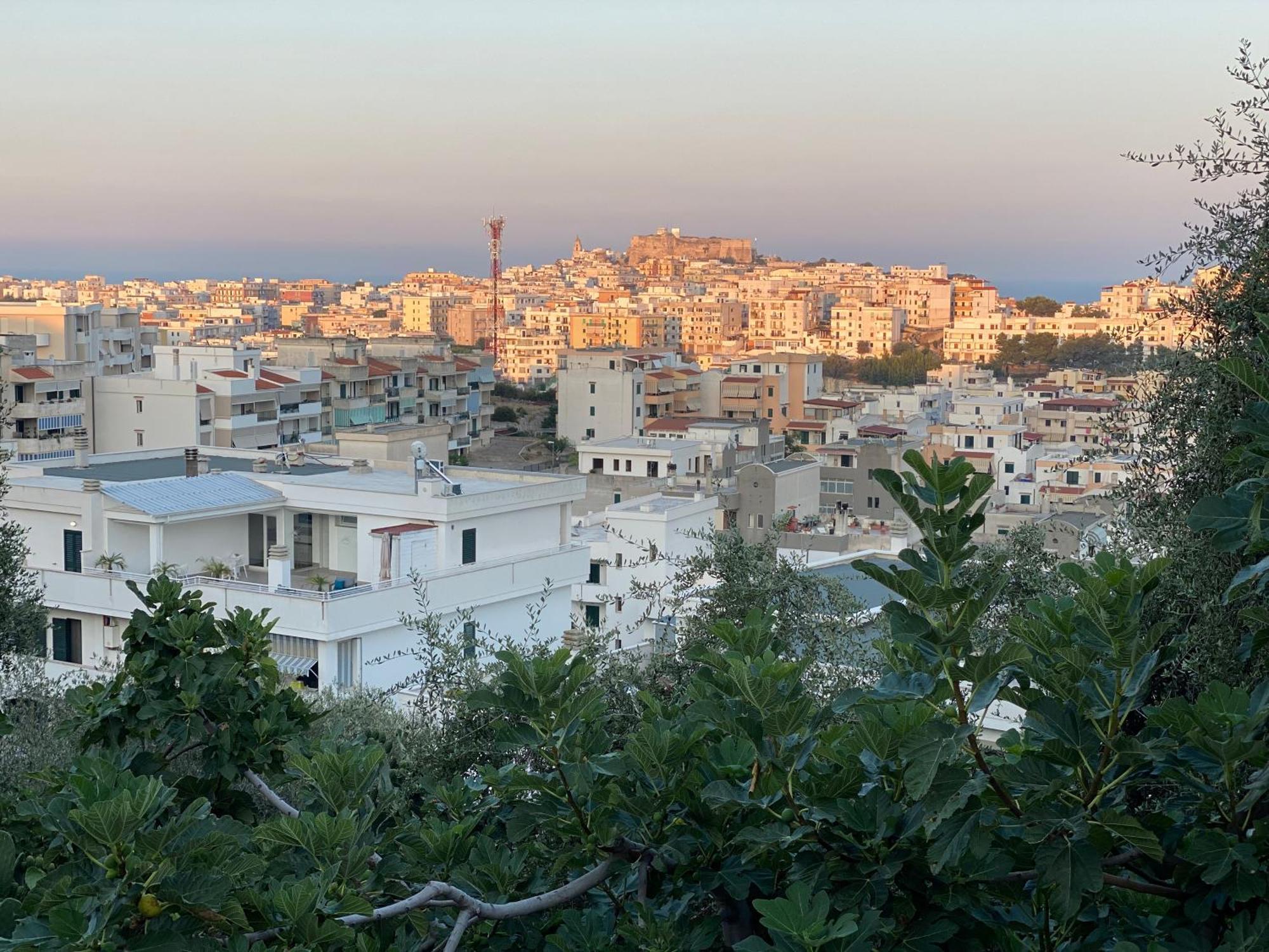Coliving Together Gargano 维耶斯泰 外观 照片