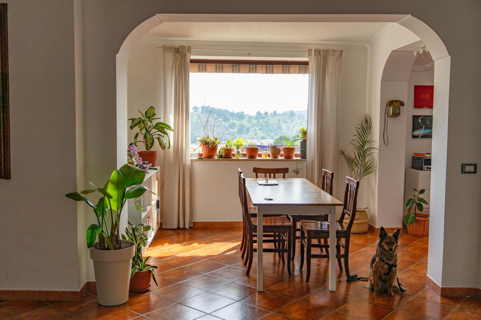 Coliving Together Gargano 维耶斯泰 外观 照片